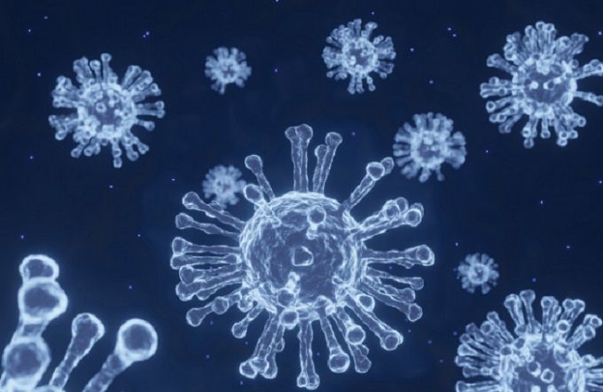 Variantes de Covid-19 en Perú y el Mundo